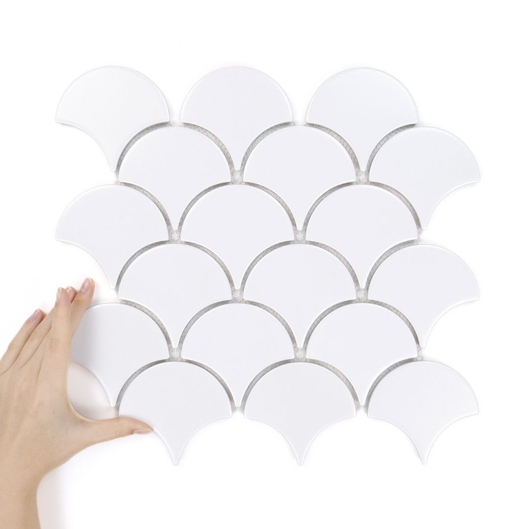 1flabellum-white-mat